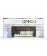 DM-100 32-Keys/49-Keys Double-Decker Sampling Keyboard