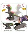 Kids Remote Control Dinosaur Toys - 666-20A