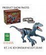 Kids Remote Control Dinosaur Toys - 666-57A