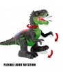 Kids Remote Control Dinosaur Toys - 666-58A